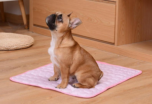 PET COOLING MAT™